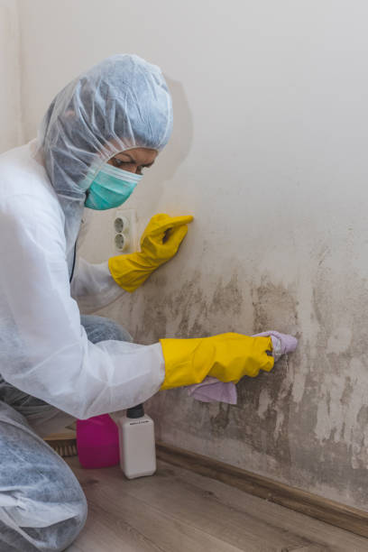 Best Asbestos and Lead Testing During Mold Inspection  in Good Hope, AL